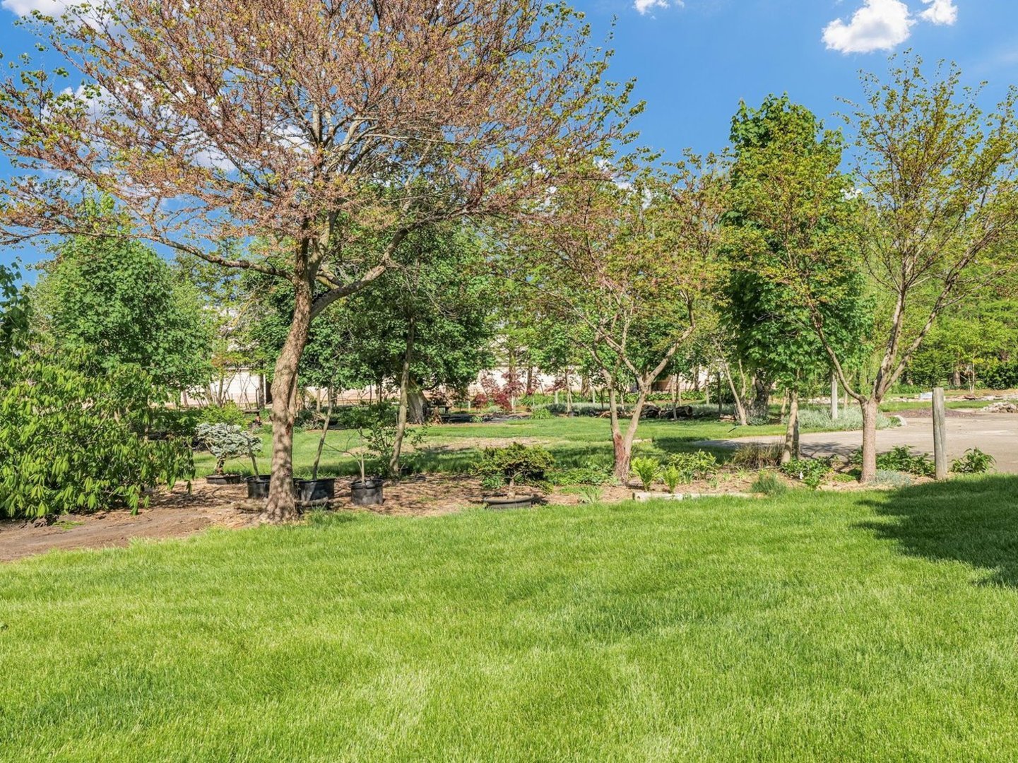 810 South Century Boulevard Rantoul, IL 61866 - Photo 27 of 32 a garden view with a sitting space