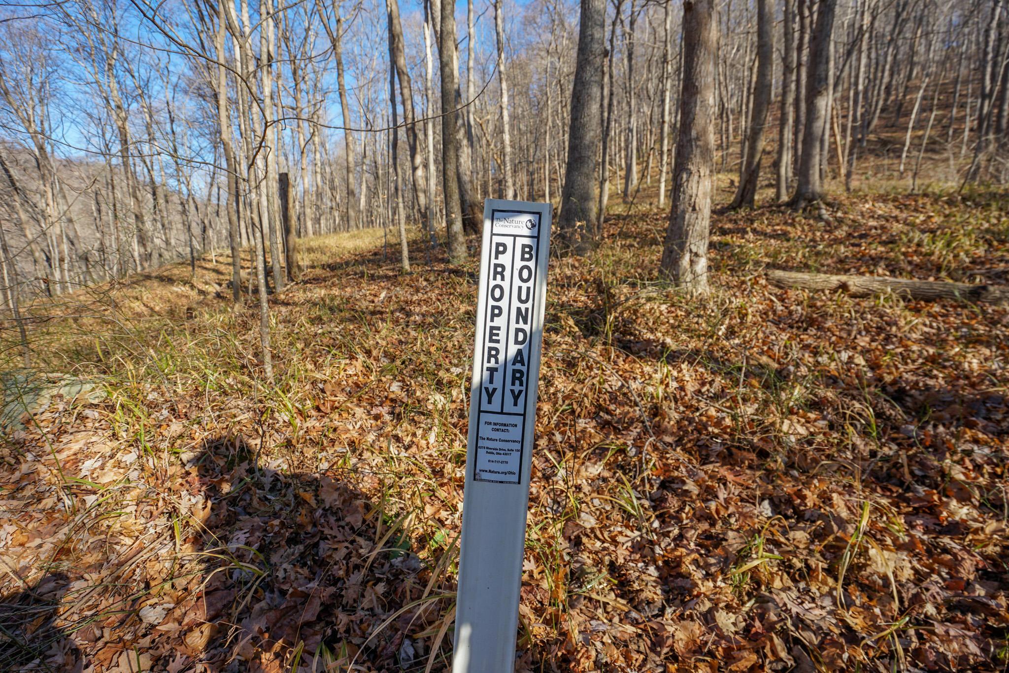 2430 Long Lick Road Stout, OH 45684 - Photo 31 of 47 DSC09751