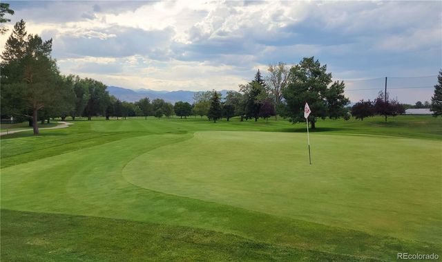 a view of tree next to a yard
