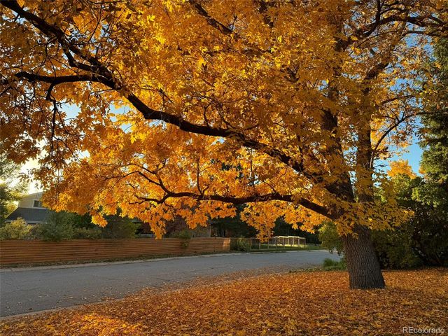 a view of yard with green space