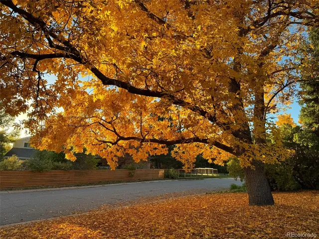 a view of yard with green space