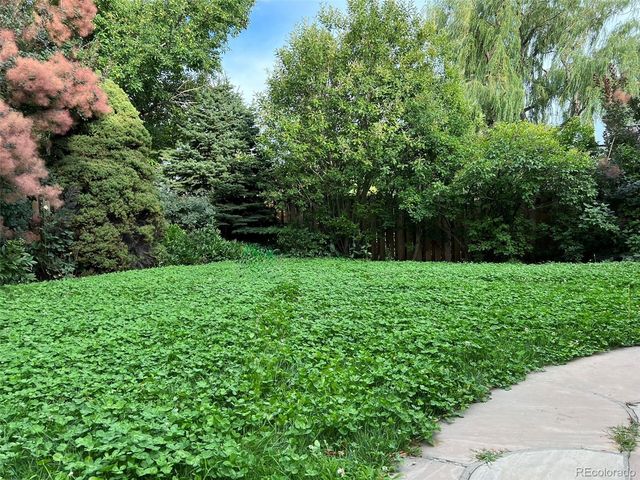 a view of a yard with a tree