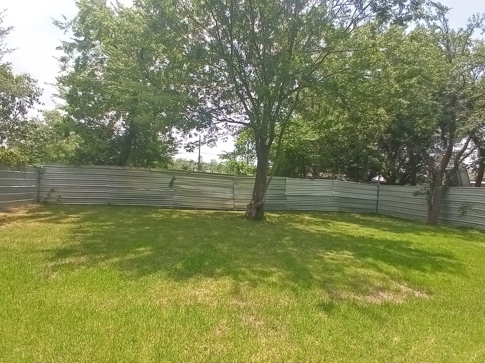 7828 Pardee Street Houston, TX 77028 - Photo 3 of 18 a view of outdoor space with deck and tree in the background