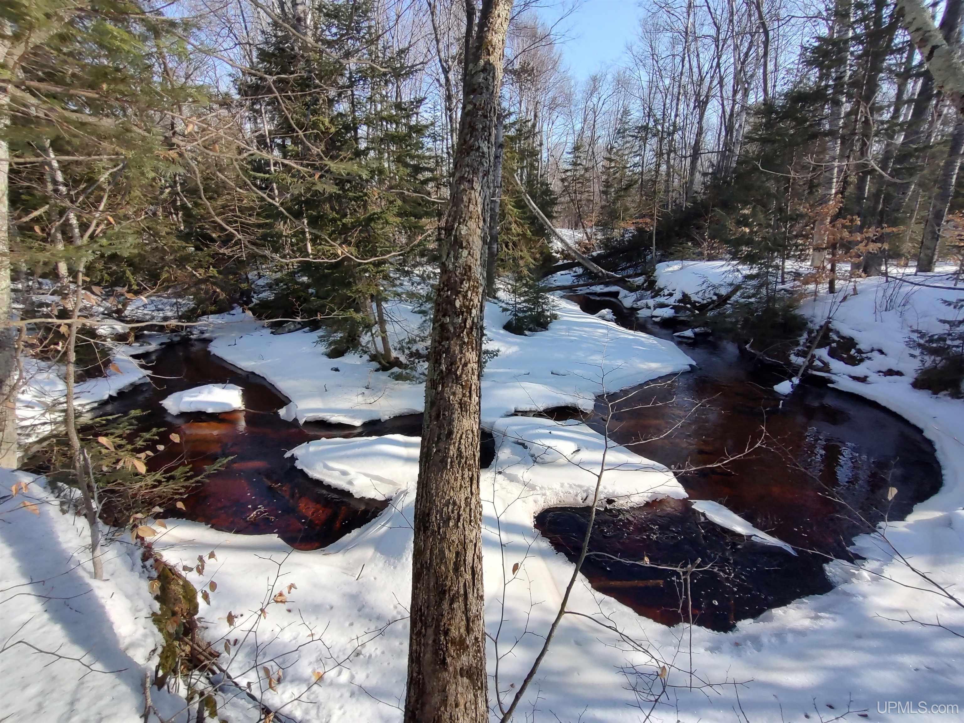 40-acres Gierke Road Manistique, MI 49854 - Photo 2 of 39