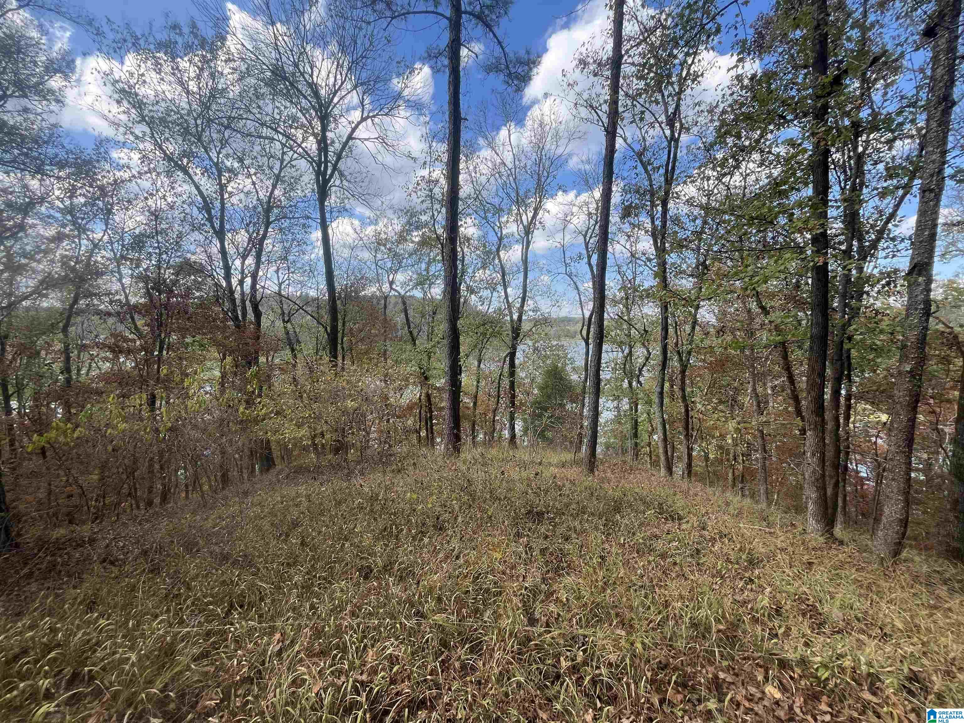 Eagle Port Road, Unit 7&8 Quinton, AL 35130 - Photo 4 of 12