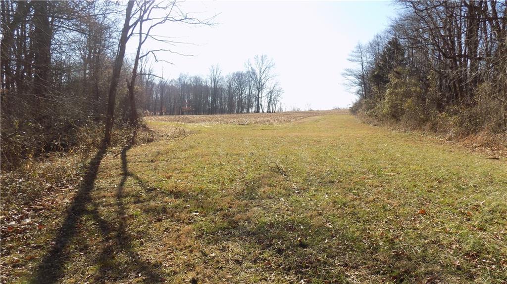 0 South Catracat Road Spencer, IN 47460 - Photo 2 of 8 Gallery Image 2