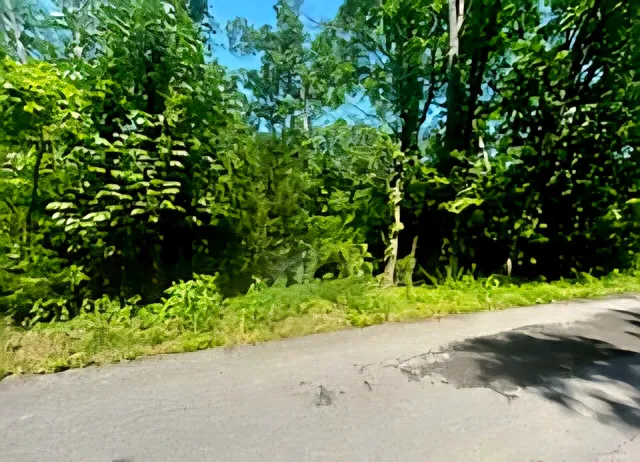 a view of a street view