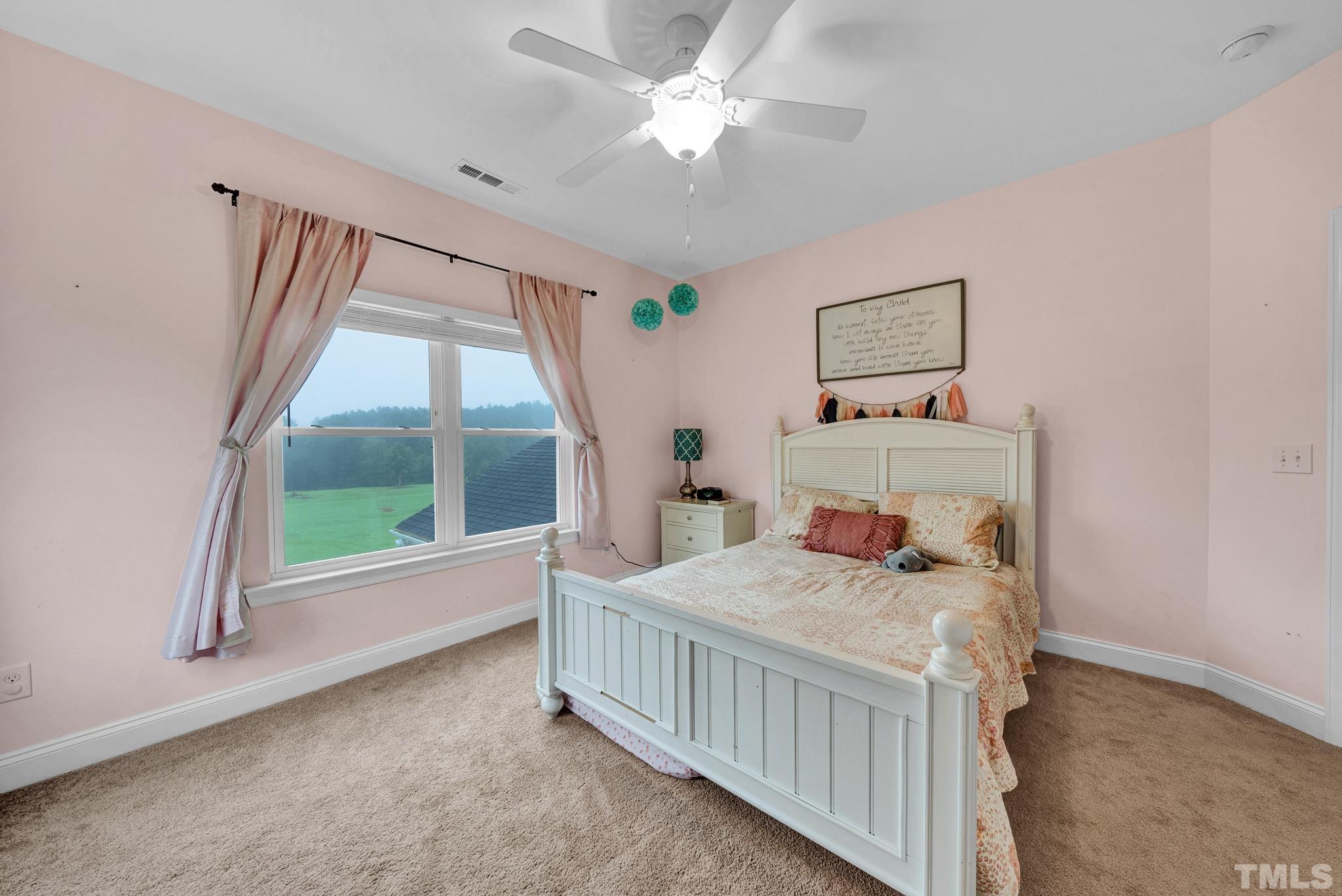 256 Old Murphy Road Zebulon, NC 27597 - Photo 14 of 30 Gallery Image 14