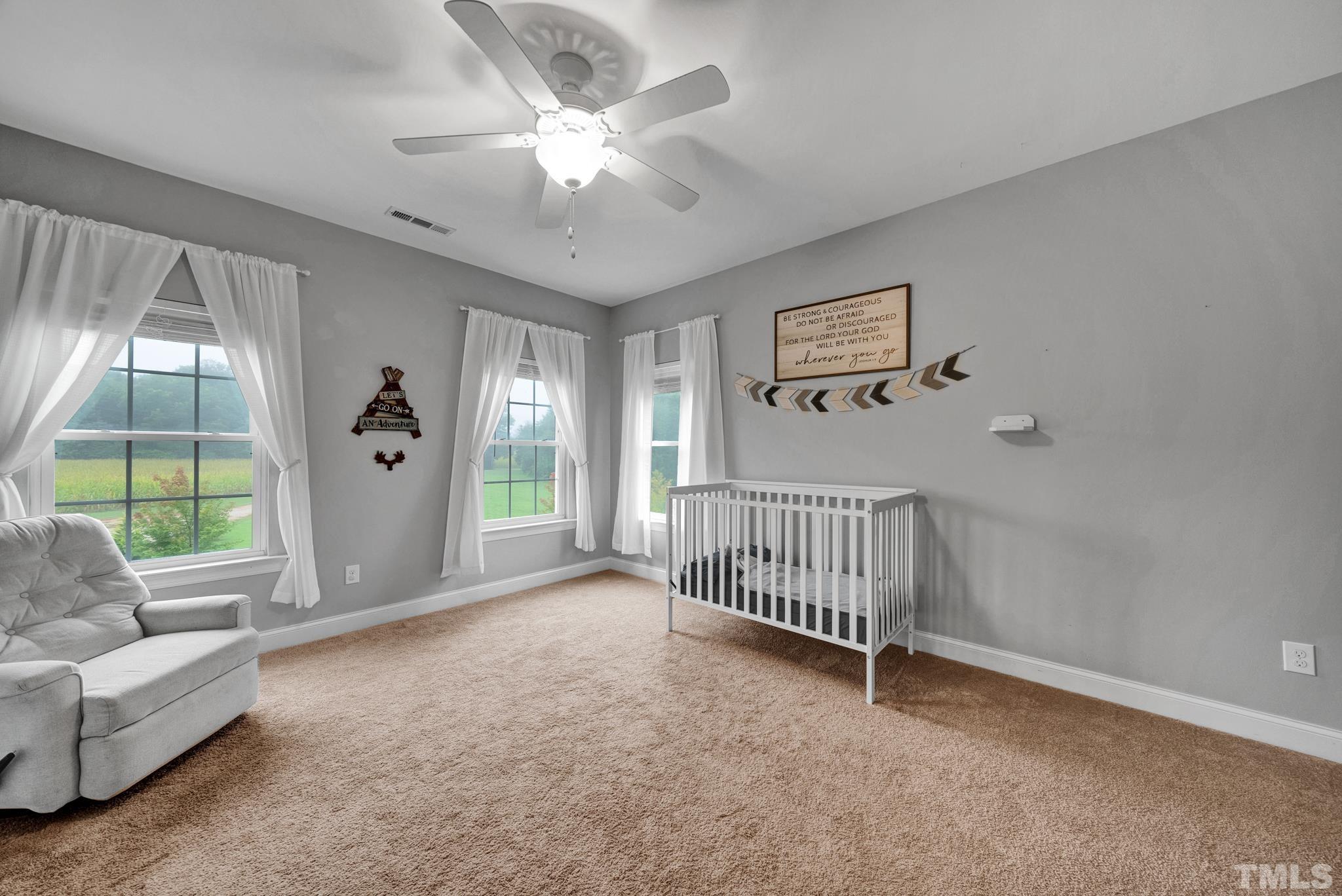 256 Old Murphy Road Zebulon, NC 27597 - Photo 15 of 30 Gallery Image 15