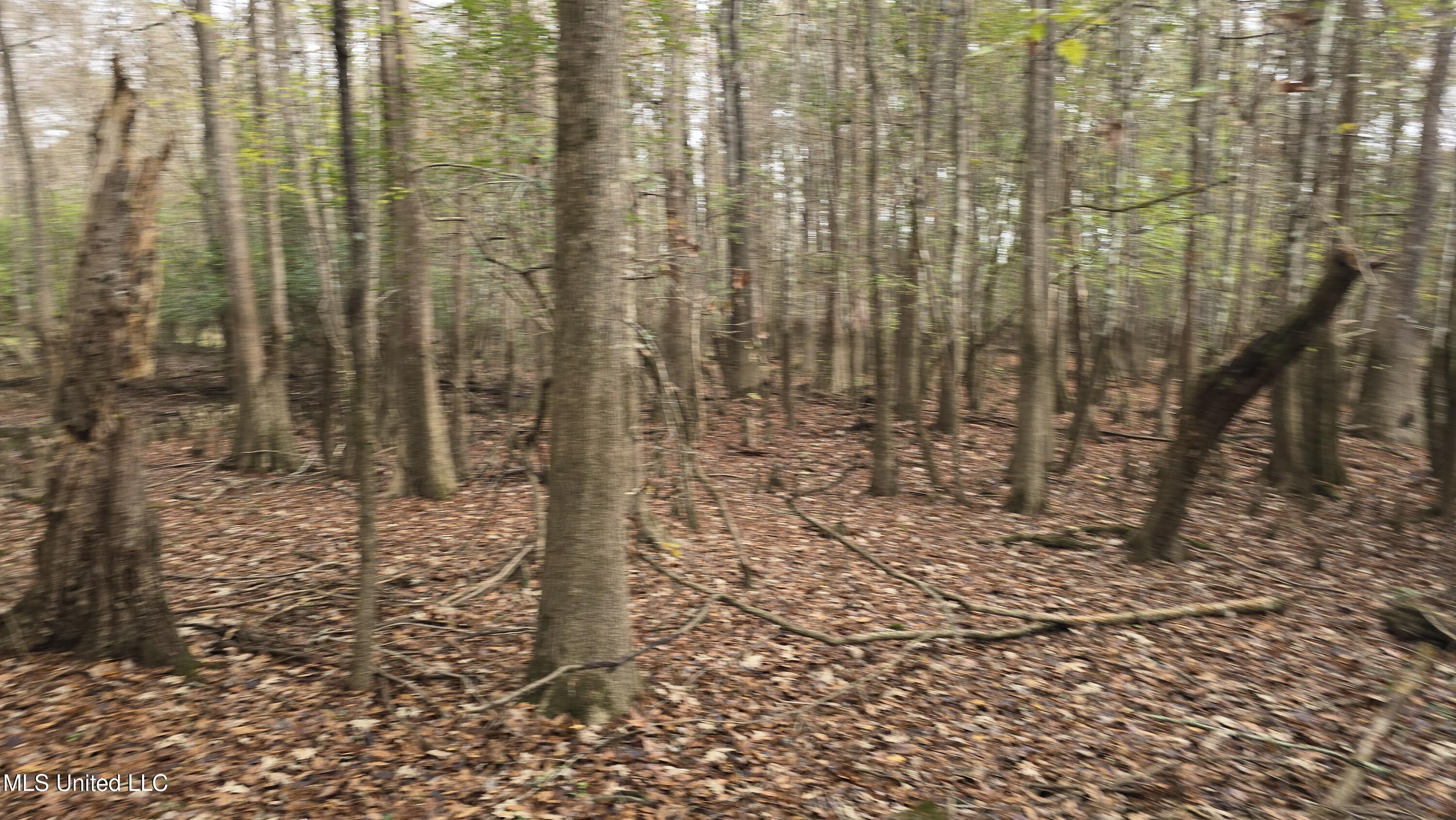 0 Wheatfield Road Poplarville, MS 39470 - Photo 19 of 54 20251201_100033