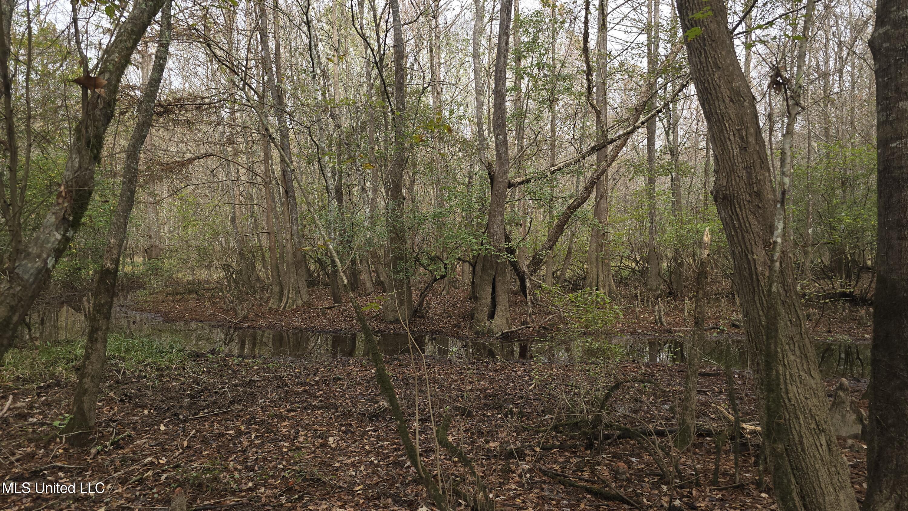 0 Wheatfield Road Poplarville, MS 39470 - Photo 20 of 54 20251201_100045