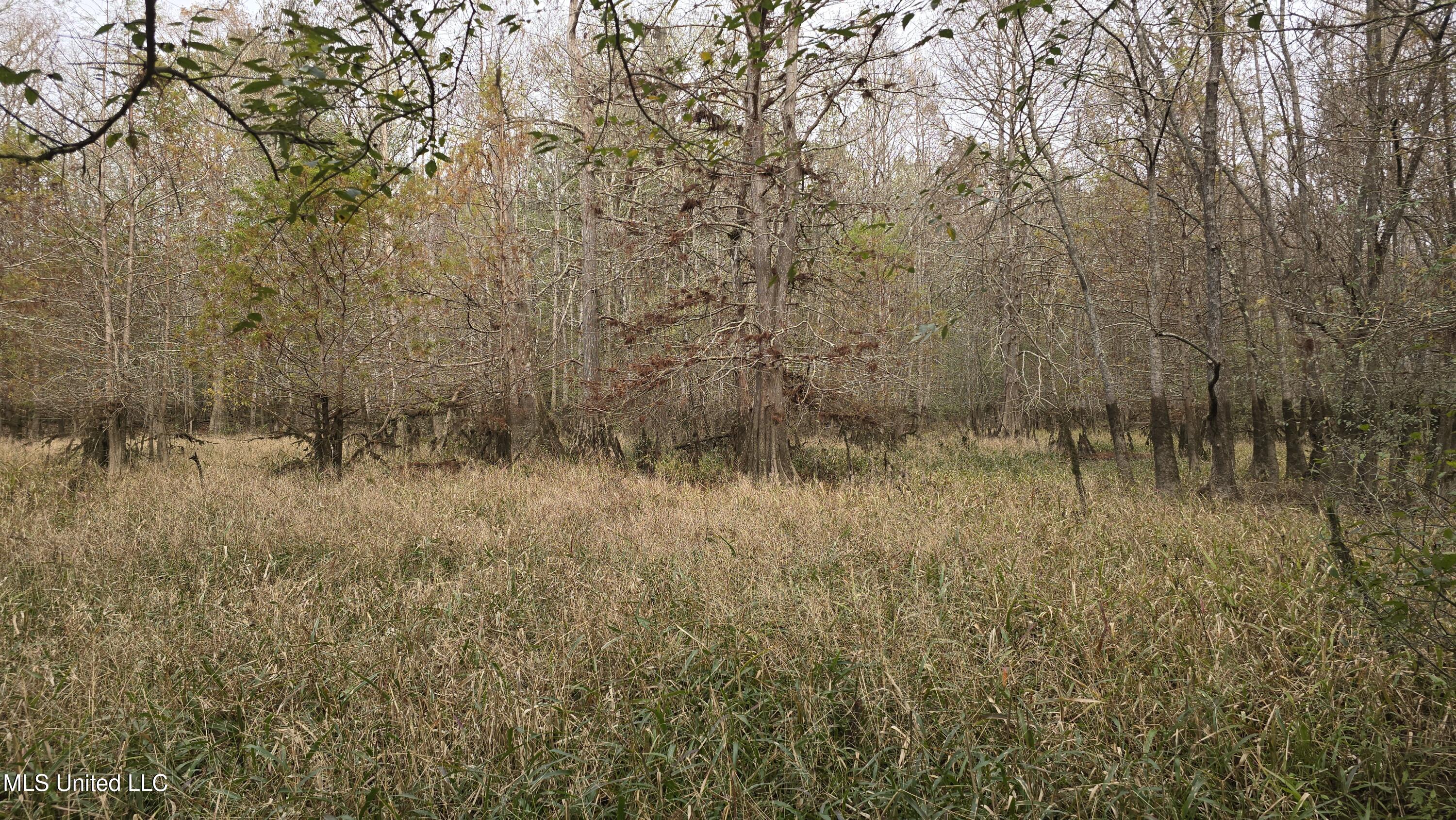 0 Wheatfield Road Poplarville, MS 39470 - Photo 23 of 54 20251201_100226
