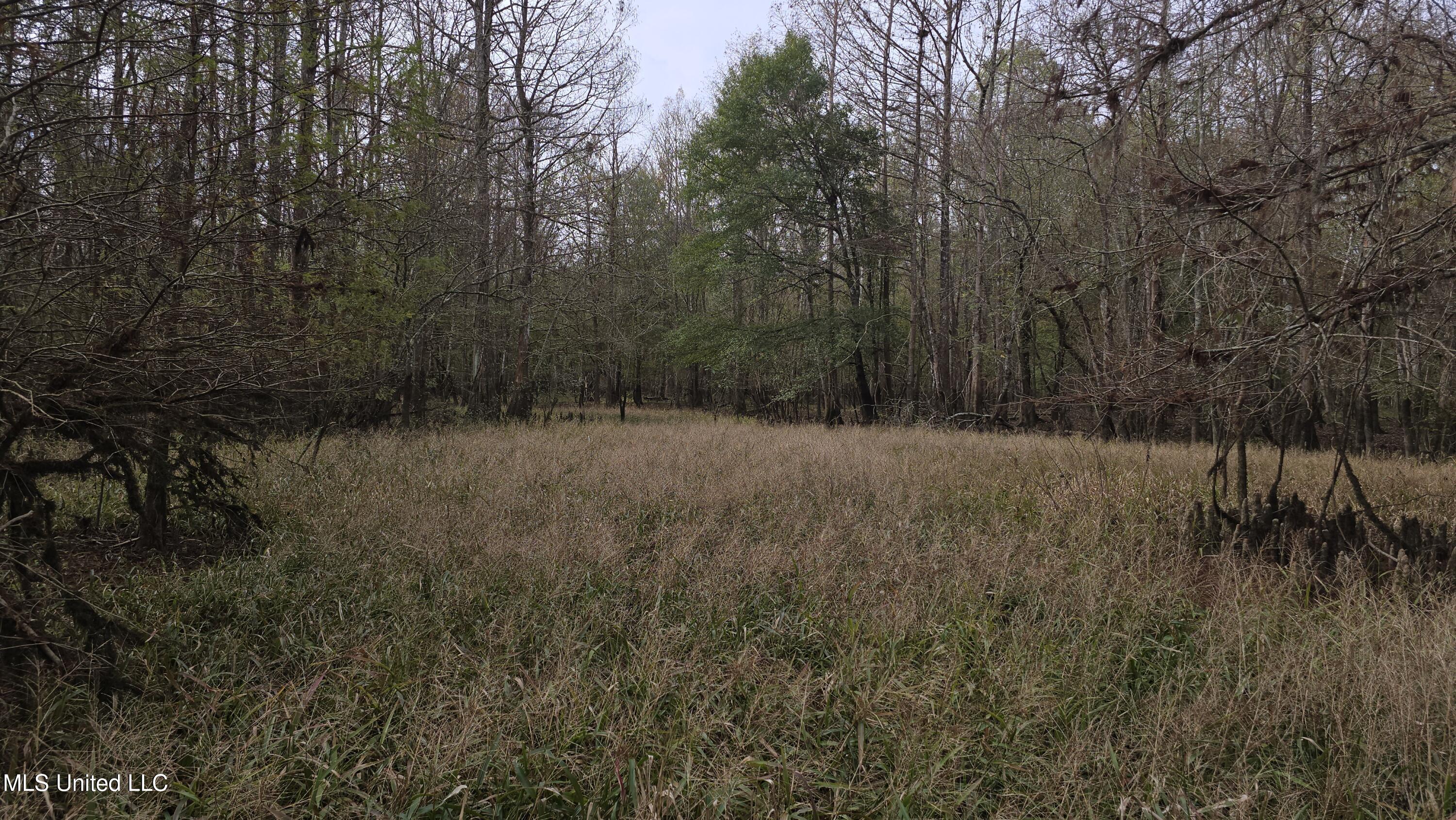 0 Wheatfield Road Poplarville, MS 39470 - Photo 24 of 54 20251201_100241