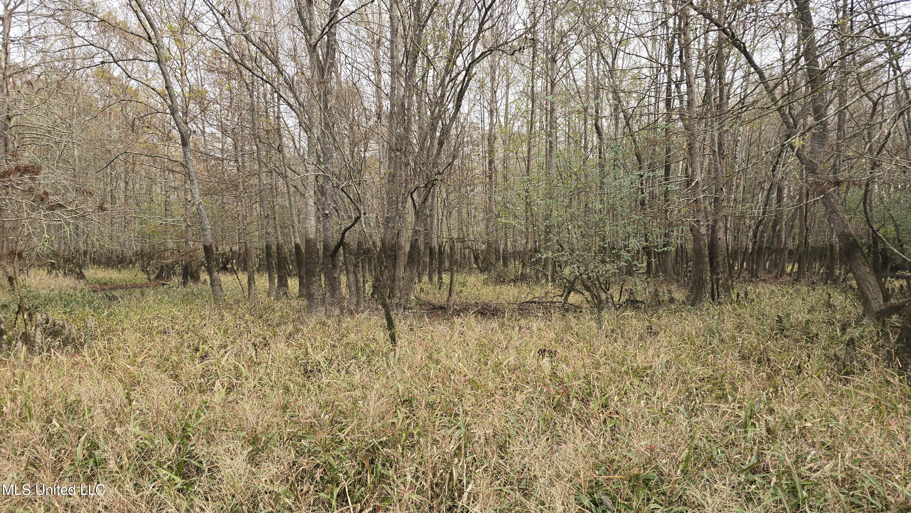 0 Wheatfield Road Poplarville, MS 39470 - Photo 25 of 54 20251201_100245