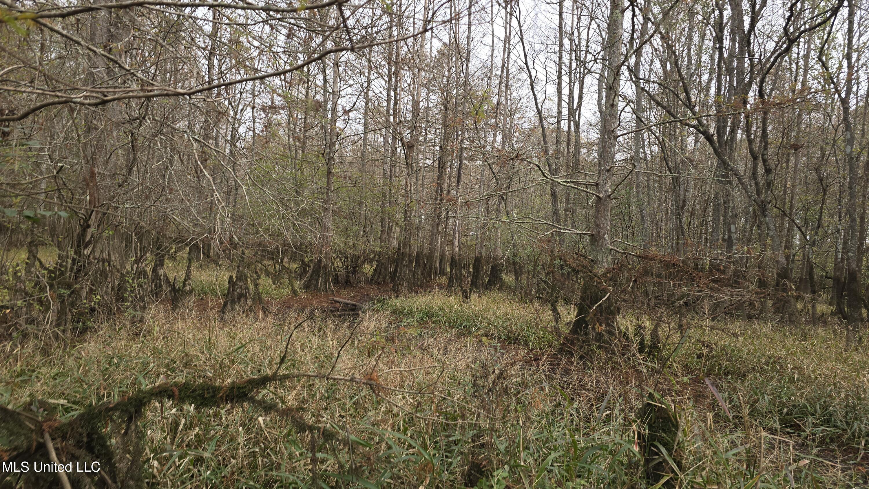 0 Wheatfield Road Poplarville, MS 39470 - Photo 26 of 54 20251201_100332