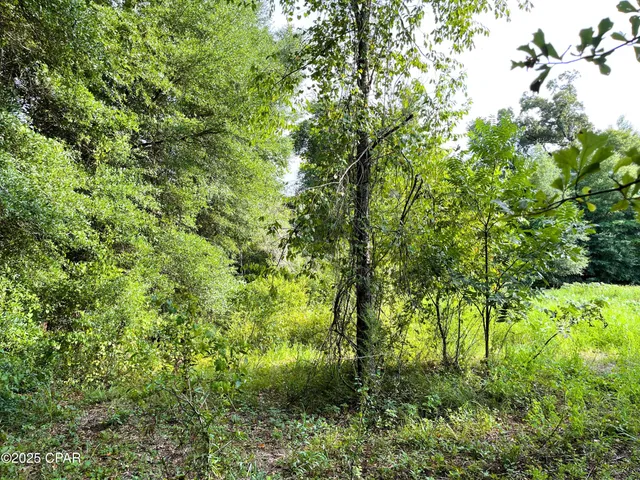 $45,000 | 0 West Fort Road, Greenwood, FL 32443