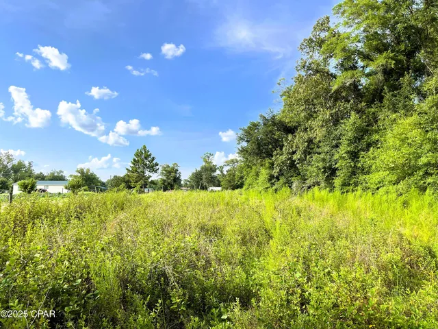 $45,000 | 0 West Fort Road, Greenwood, FL 32443