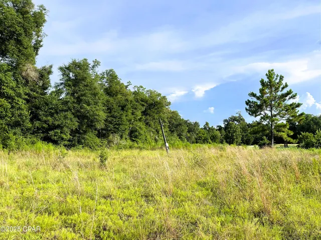 $45,000 | 0 West Fort Road, Greenwood, FL 32443