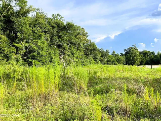 $45,000 | 0 West Fort Road, Greenwood, FL 32443