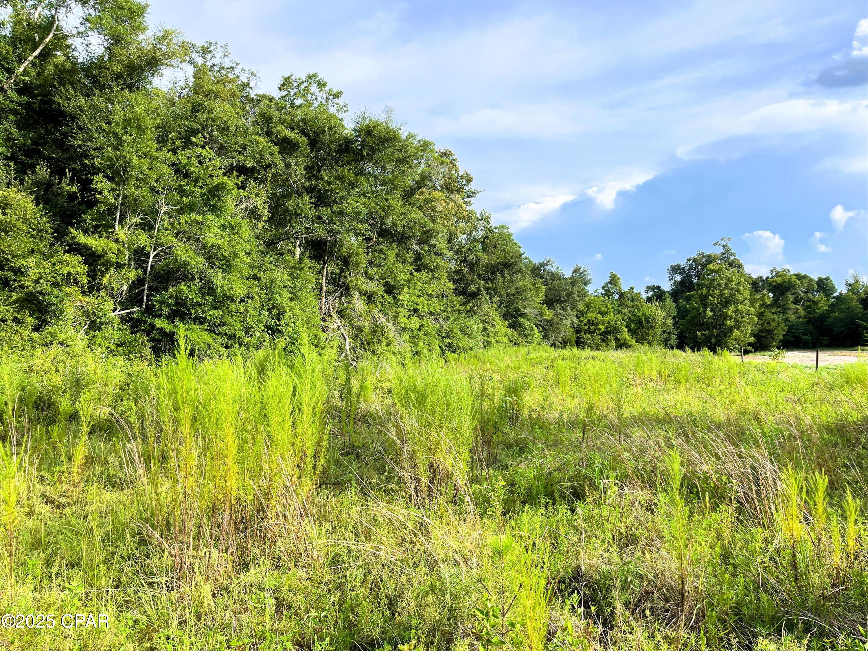 0 West Fort Road Greenwood, FL 32443 - Photo 7 of 11
