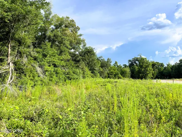 $39,000 | 0 West Fort Road, Greenwood, FL 32443