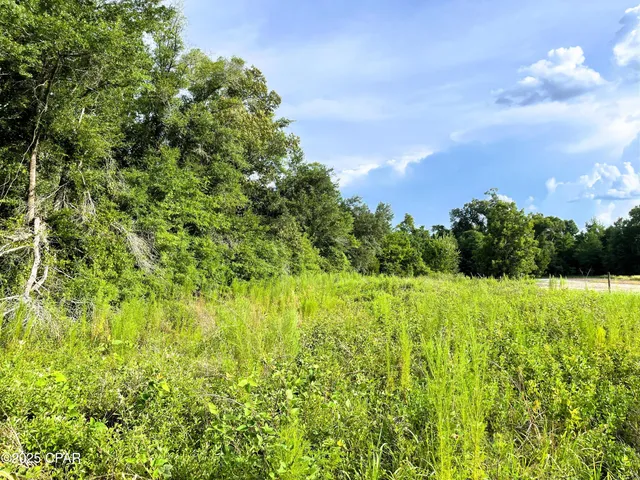 $45,000 | 0 West Fort Road, Greenwood, FL 32443