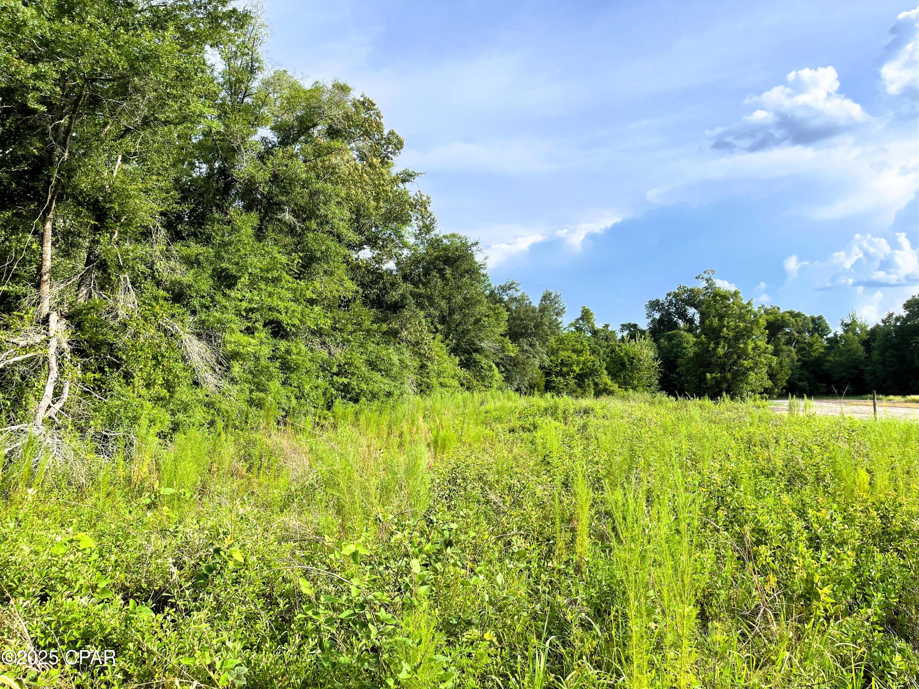 0 West Fort Road Greenwood, FL 32443 - Photo 8 of 11