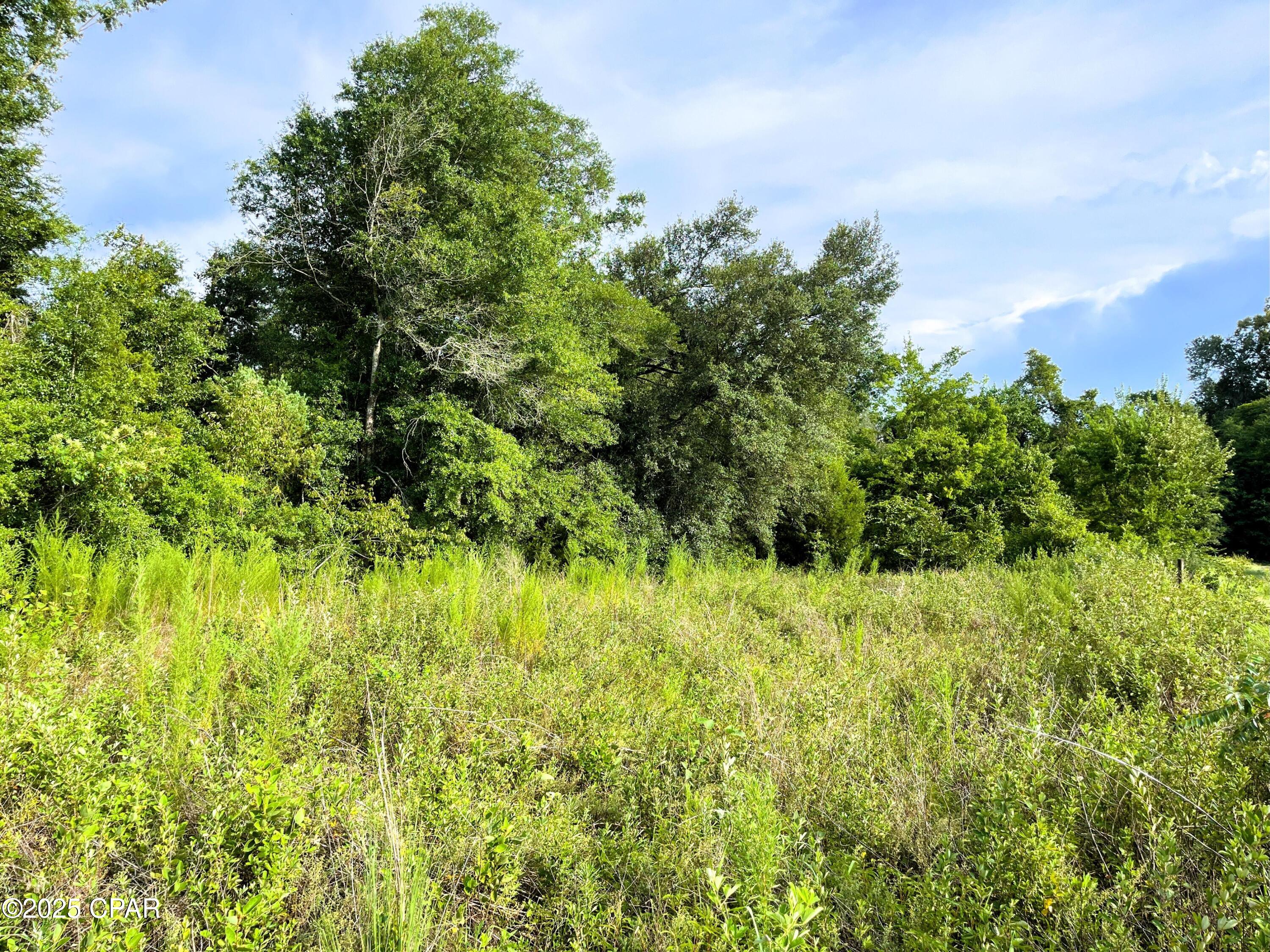 0 West Fort Road Greenwood, FL 32443 - Photo 9 of 11