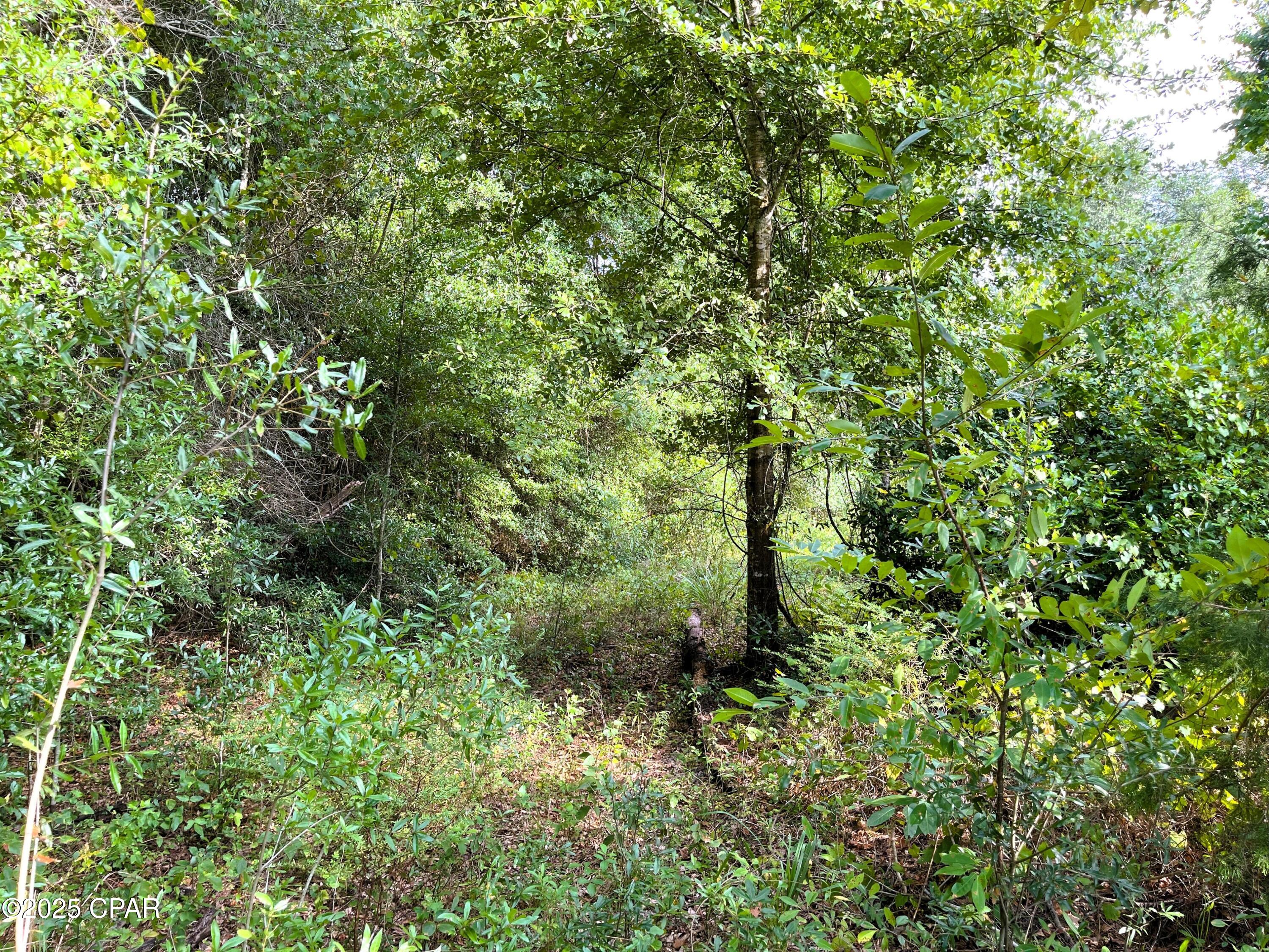 0 West Fort Road Greenwood, FL 32443 - Photo 10 of 11