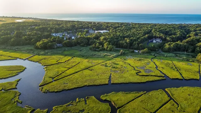 an aerial view of swimming pool