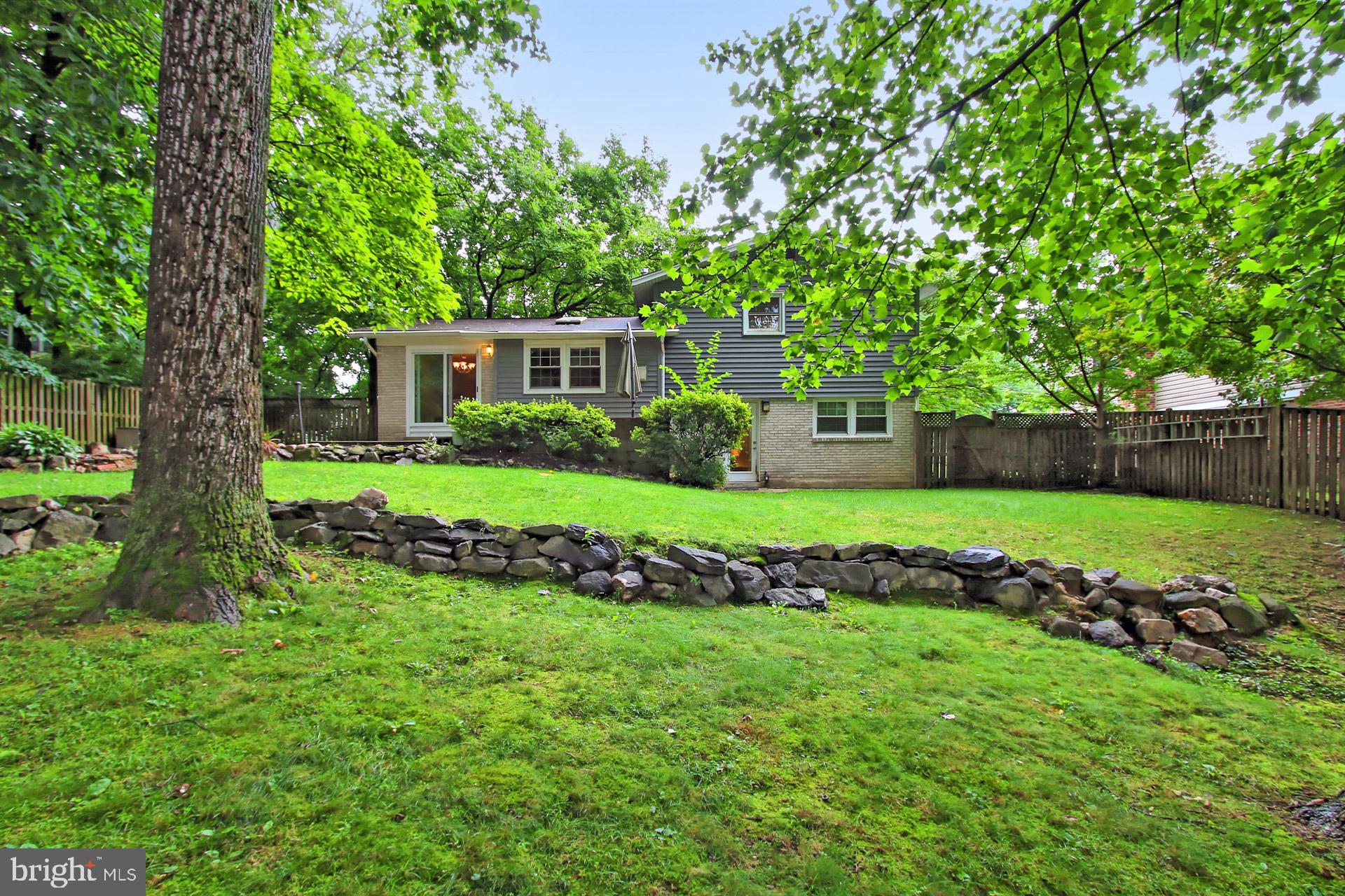 6221 Tyner Street Springfield, VA 22152 - Photo 42 of 56 Back yard