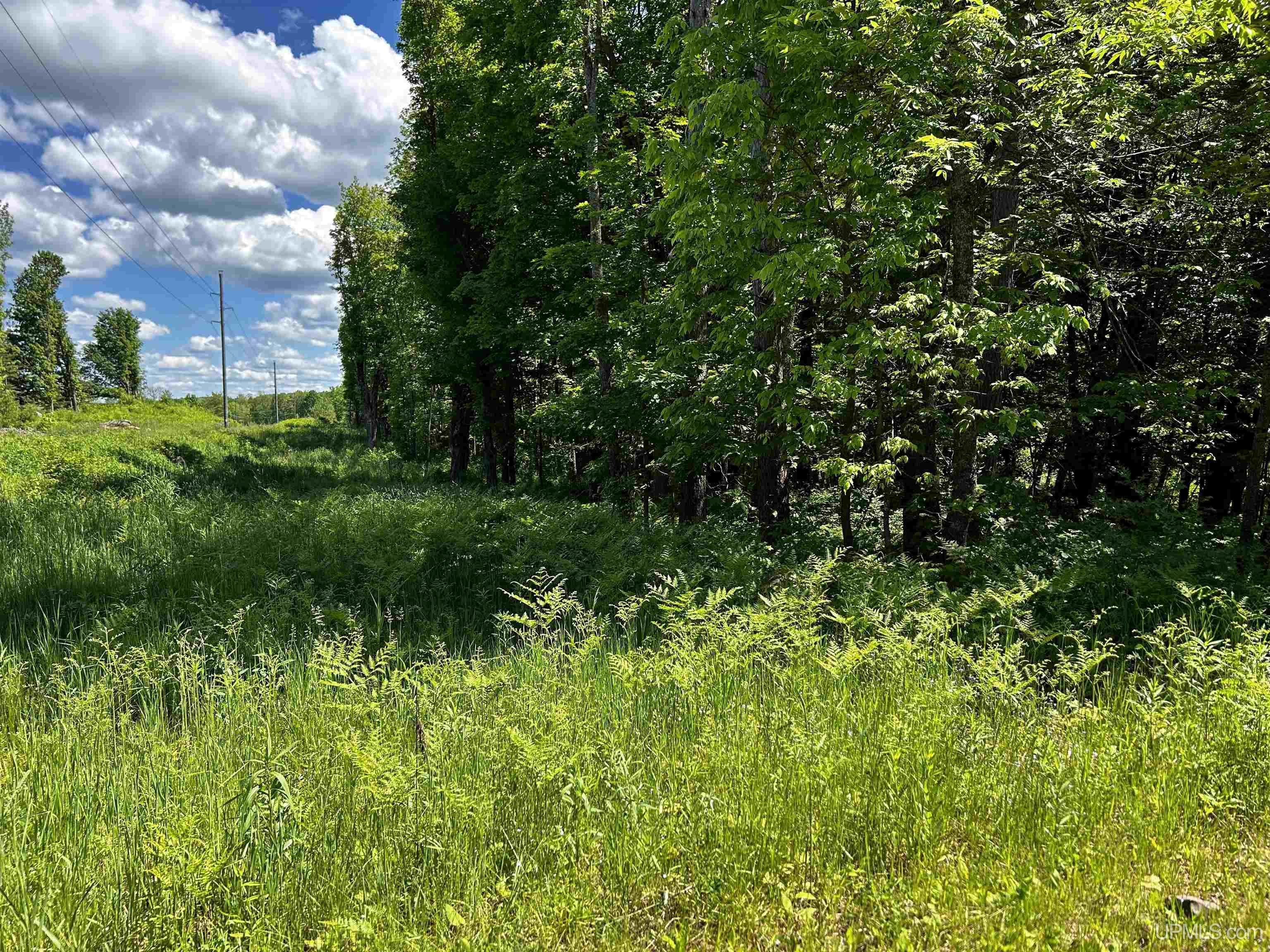 Tbd Tbd Burma Parcel B Road Bessemer, MI 49911 - Photo 1 of 10