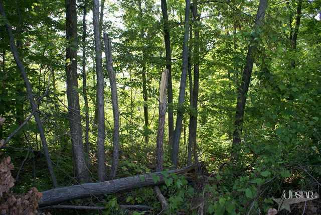 8101 Rothman Road Fort Wayne, IN 46835 - Photo 2 of 19