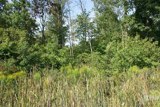 8101 Rothman Road Fort Wayne, IN 46835 - Photo 4 of 19