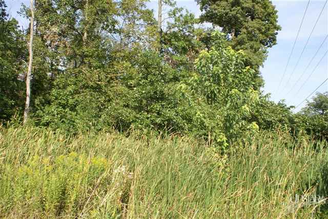 8101 Rothman Road Fort Wayne, IN 46835 - Photo 6 of 19