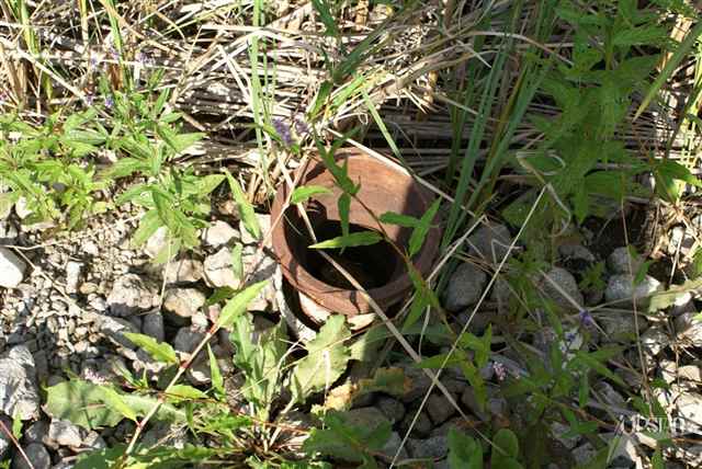 8101 Rothman Road Fort Wayne, IN 46835 - Photo 7 of 19