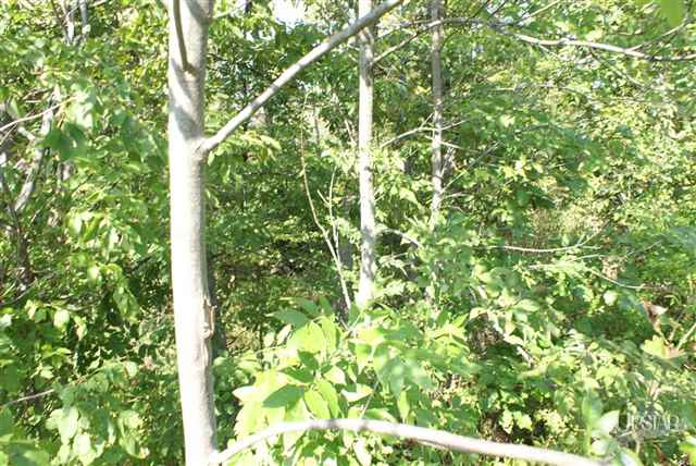 8101 Rothman Road Fort Wayne, IN 46835 - Photo 9 of 19