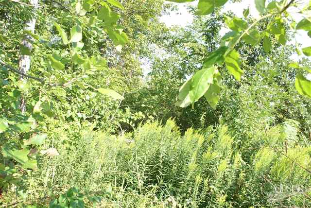 8101 Rothman Road Fort Wayne, IN 46835 - Photo 10 of 19