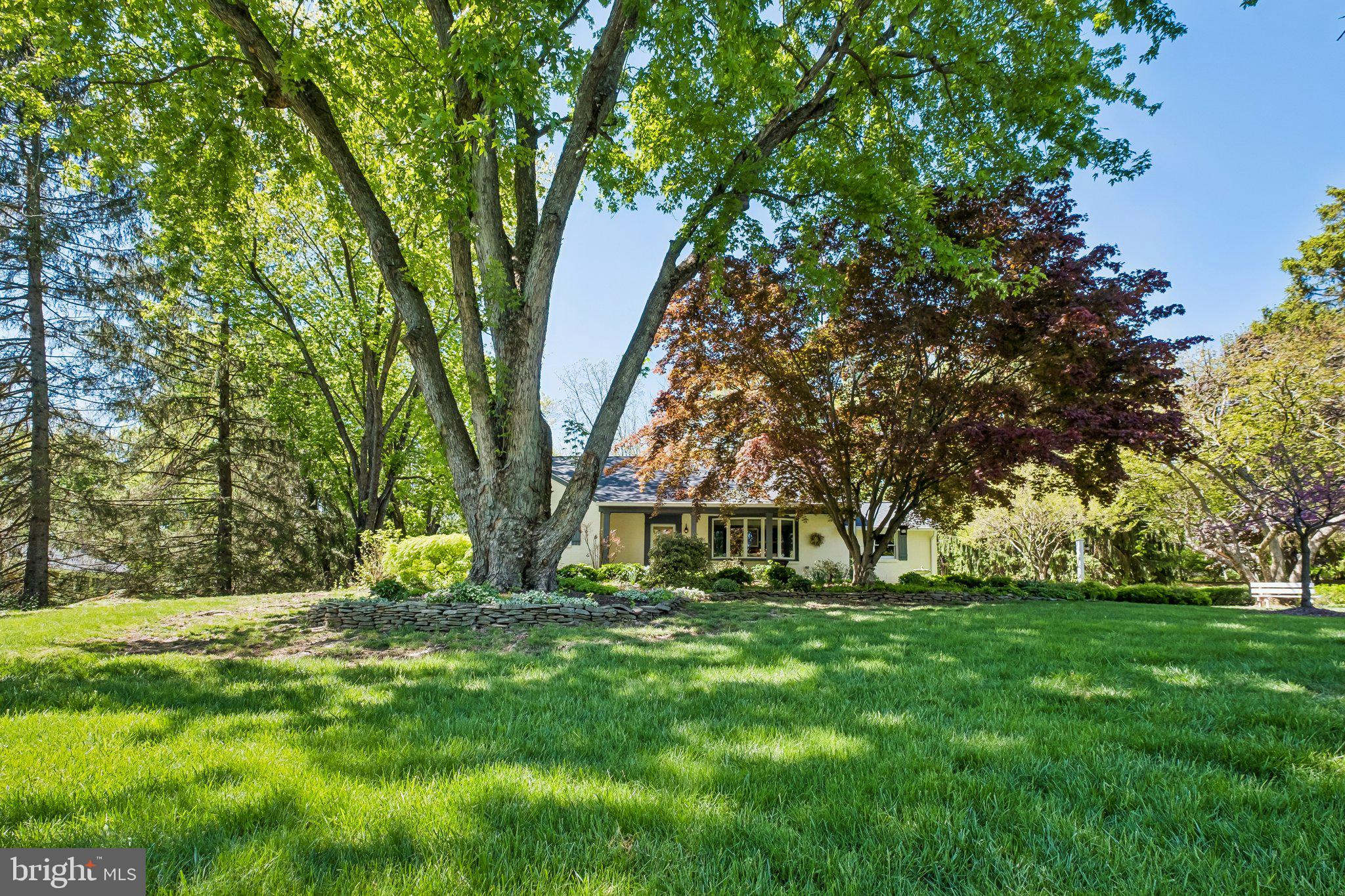 713 Alene Road Ambler, PA 19002 - Photo 40 of 40 a view of garden