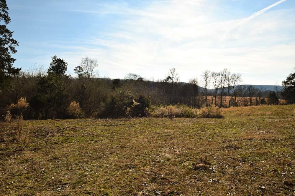 32 No Pone Valley Road Northwest Georgetown, TN 37336 - Photo 11 of 22