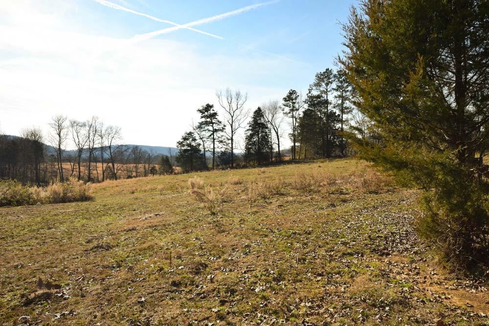 32 No Pone Valley Road Northwest Georgetown, TN 37336 - Photo 12 of 22