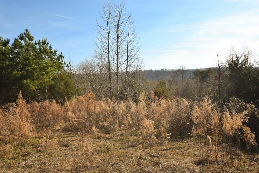 32 No Pone Valley Road Northwest Georgetown, TN 37336 - Photo 14 of 22