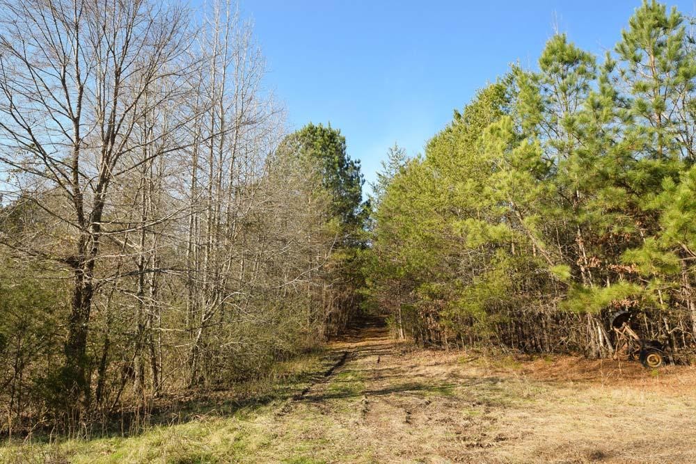 32 No Pone Valley Road Northwest Georgetown, TN 37336 - Photo 16 of 22