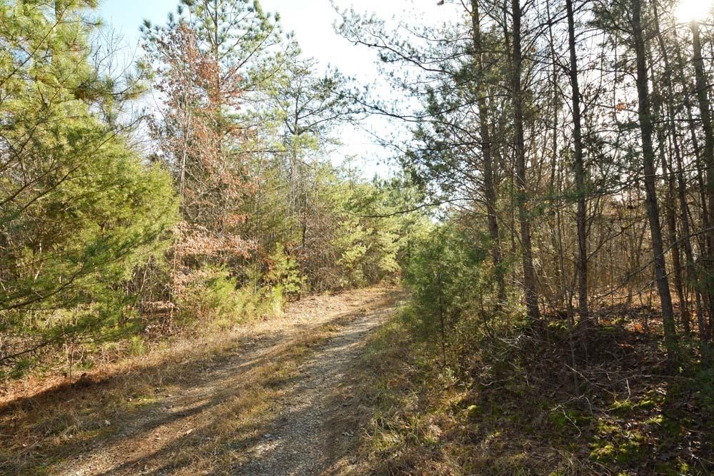 32 No Pone Valley Road Northwest Georgetown, TN 37336 - Photo 19 of 22