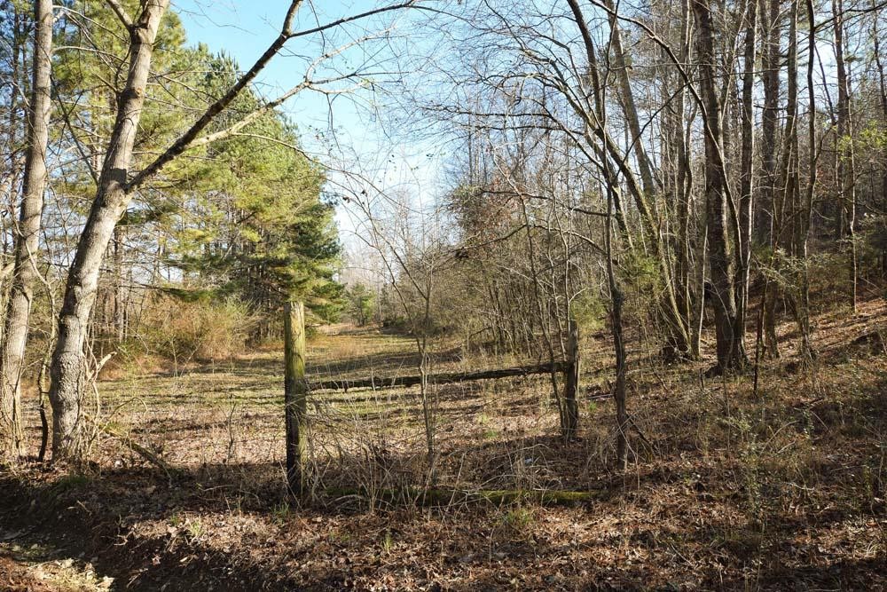 32 No Pone Valley Road Northwest Georgetown, TN 37336 - Photo 20 of 22