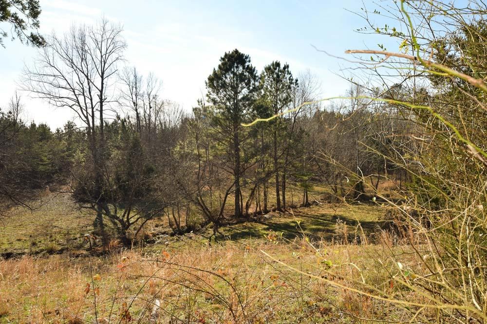 32 No Pone Valley Road Northwest Georgetown, TN 37336 - Photo 21 of 22