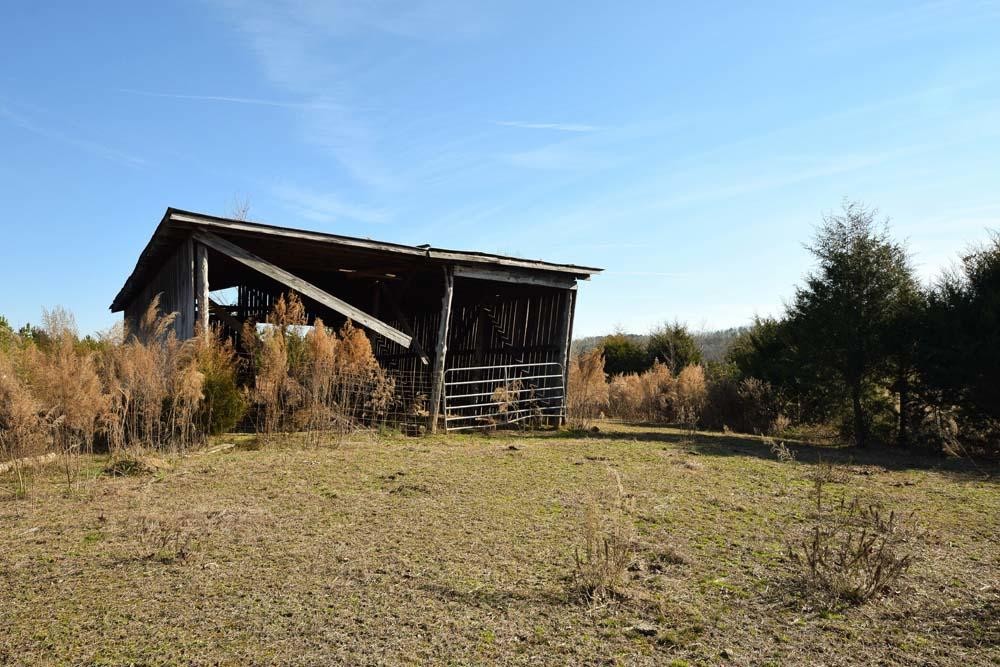 32 No Pone Valley Road Northwest Georgetown, TN 37336 - Photo 4 of 22