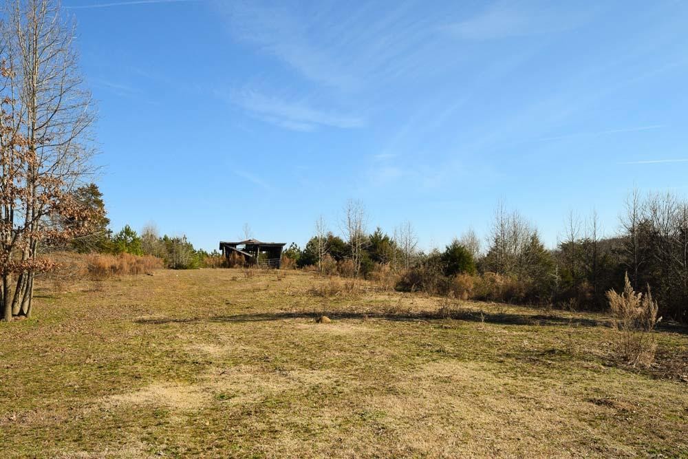 32 No Pone Valley Road Northwest Georgetown, TN 37336 - Photo 6 of 22