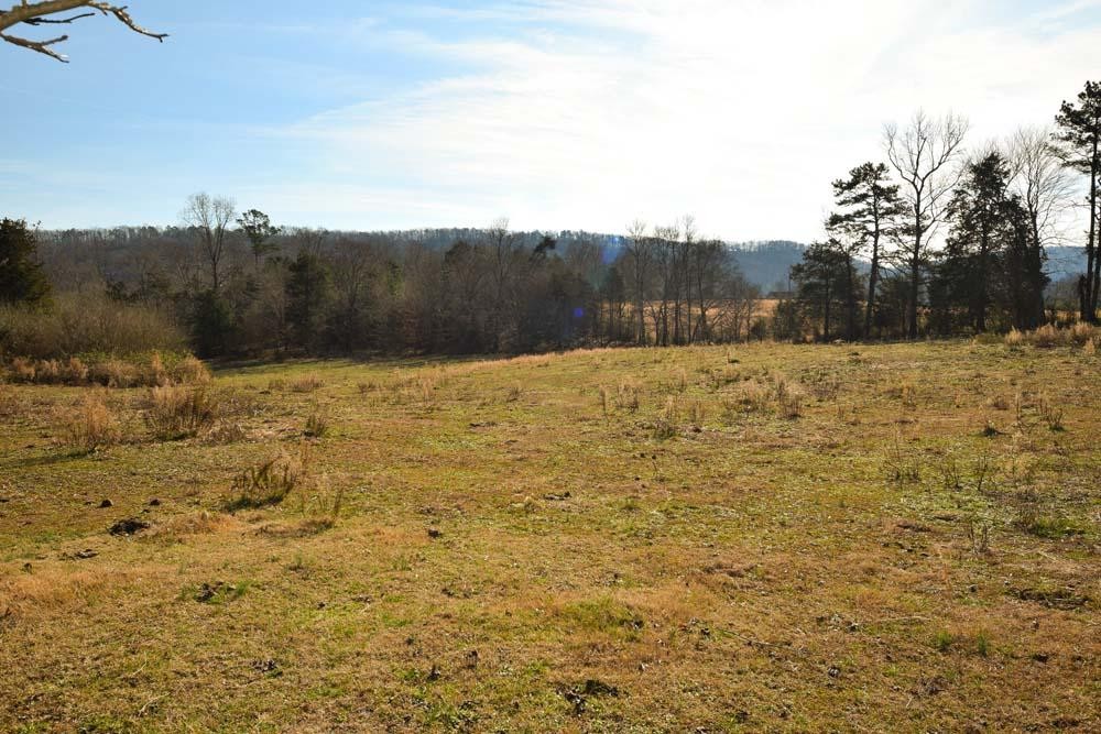32 No Pone Valley Road Northwest Georgetown, TN 37336 - Photo 8 of 22