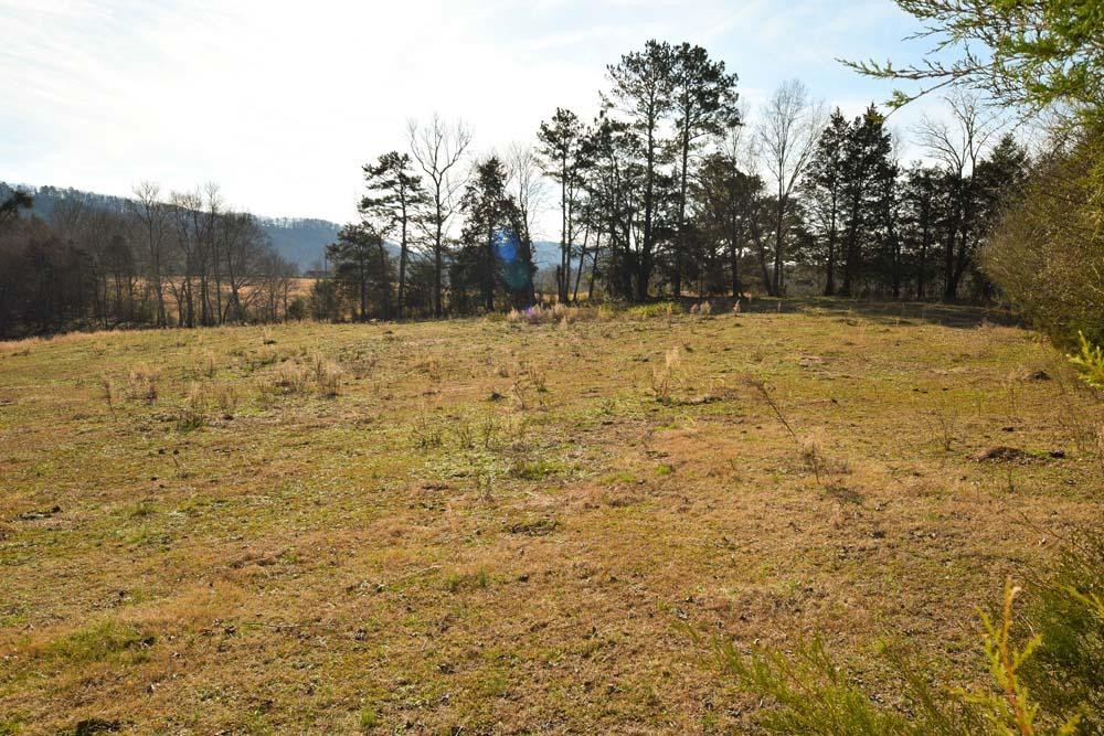 32 No Pone Valley Road Northwest Georgetown, TN 37336 - Photo 9 of 22